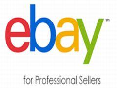 eBay for Professional Sellers Training - London image