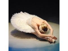 Swan Lake - Vienna Festival Ballet image