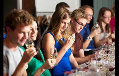 Intro to Wine Tasting: Learn the basics in one evening image