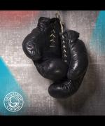 Boxing- Charles Martin v Anthony Joshua image