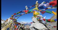 The Himalaya: One Year On image