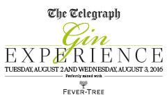 The Telegraph Gin Experience image