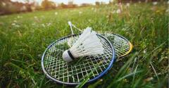 A Big Badminton Summer image