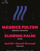 FTZ // Maurice Fulton + Glowing Palms image