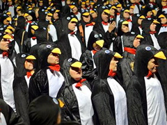 Penguin Waddle 2016 image