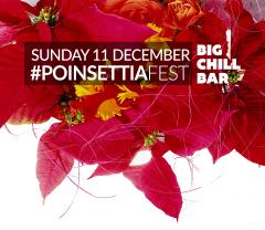 #PoinsettiaFest at Big Chill image