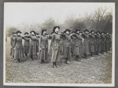 ‘Eve in Khaki’: Women and the British Army image