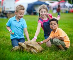 Weald Park Country Show image