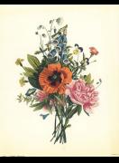 Painting Class: Botanical Illustrations image