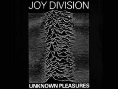 Unknown Pleasures (Joy Division / New Order Party) image