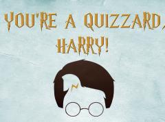 You're A Quizzard Harry image