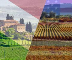 Italy VS USA Wine Tasting image