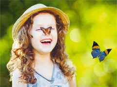 Sensational Butterflies image