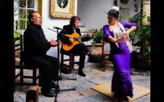 Juan Martin: Arte Flamenco Puro image
