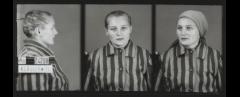 Exhibition launch: Science + Suffering: Victims and Perpetrators of Nazi Human Experimentation image