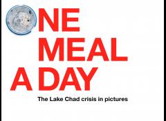 One Meal a Day: the Lake Chad Crisis in pictures image