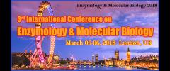 3rd International Conference on Enzymology and Molecular Biology image