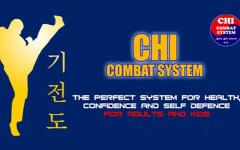 Chi Combat System Martial Arts (Self-Defence Clapham) image
