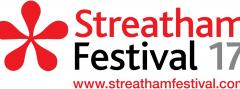Streatham Festival 2017 image
