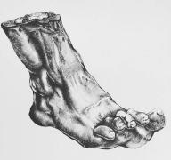 Feet image