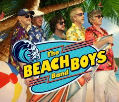 The Beach Boys Story image