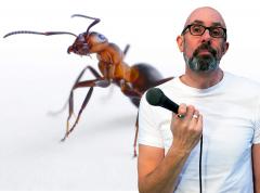Steve Vertigo - Standing on the Shoulders of Ants image