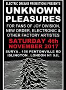 Unknown Pleasures (Joy Division / New Order fan party) image