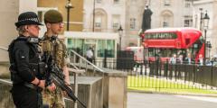 Uk Security And The Army image