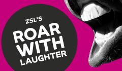 ZSL's Roar with Laughter image
