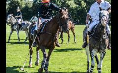 Charity event at Ham Polo Club in aid of Ebony Horse Club image