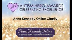 The Autism Hero Awards 2017 image