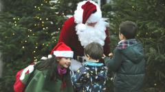 Visit Father Christmas at Morden Hall Park image