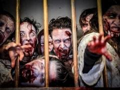 Zombie S.W.A.T Training: An immersive scare experience image