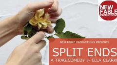 Split Ends - A Tragicomedy image