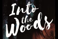 Into The Woods image