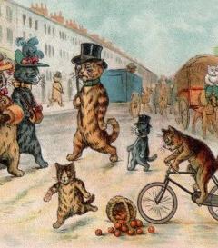 Cat Walks - Feline Themed Walking Tours image