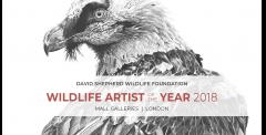 Wildlife Artist of the Year image