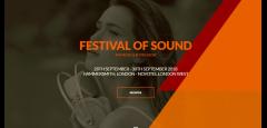 Festival of Sound image