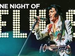 One Night of Elvis: Lee 'Memphis' King image