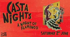 A night of Flamenco image