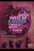 The Facemelter: A Sudden Burst Of Colour, Hoggs Bison, Theo image