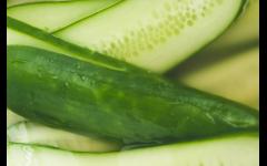 How to Grow, Pickle & Preserve Cucumbers (and other vegetables) image