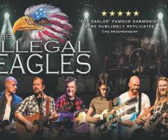 The Illegal Eagles image