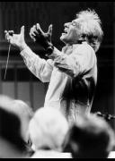 Bernstein at 100, by the Elysian Singers image