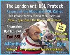London Anti-BSL Peaceful Protest image