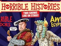 Horrible Histories - Terrible Tudors image