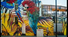 Today at Apple - Live Art: Street Art with Graffiti Life image