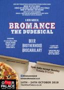 Bromance:The Dudesical image