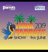 Think Parrots Show 2019 image