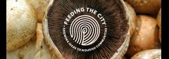 Feeding The City 2019 - Ideation Workshop image